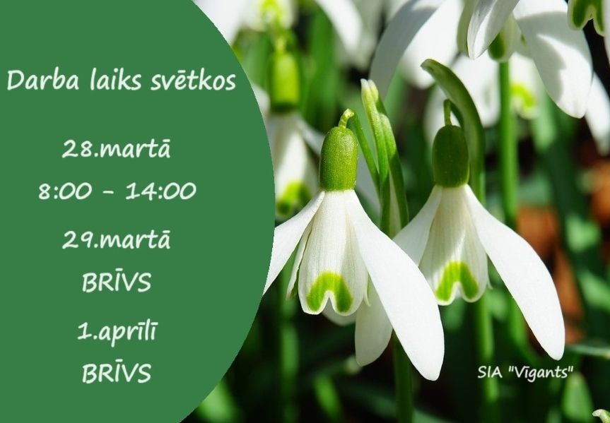 Darba laiks svētkos